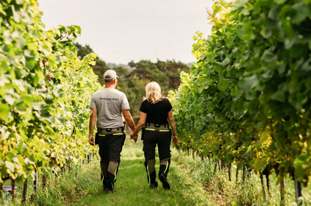 Annebergs vingård Niclas och Katrin i vingården