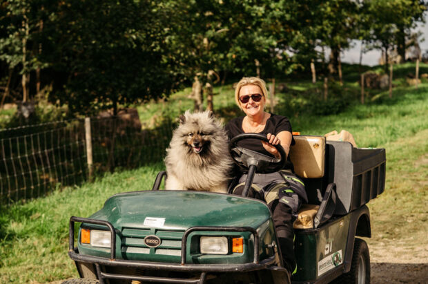 Annebergs vingård Katrin med hund